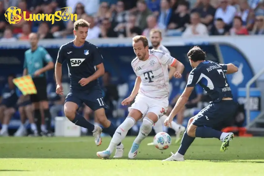 Harry Kane đang có phong độ tốt trong màu áo Bayern Munich. Ảnh: CLB